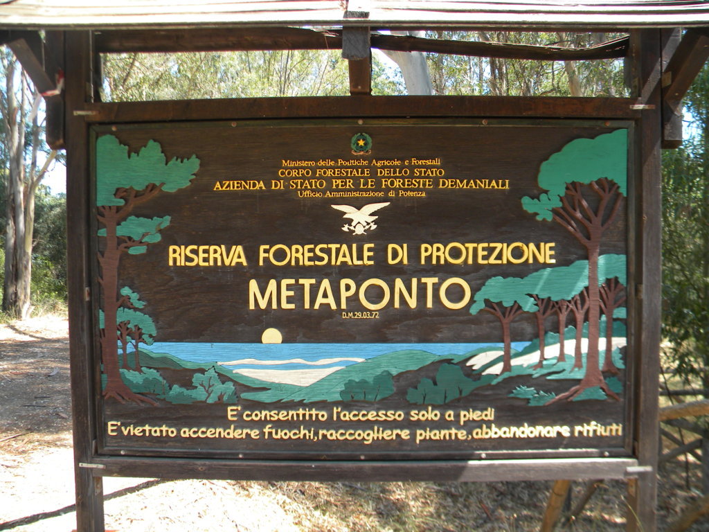 DSCN2622 .JPG